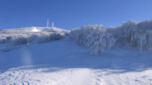 Vista della principale pista da sci del Monte Nerone